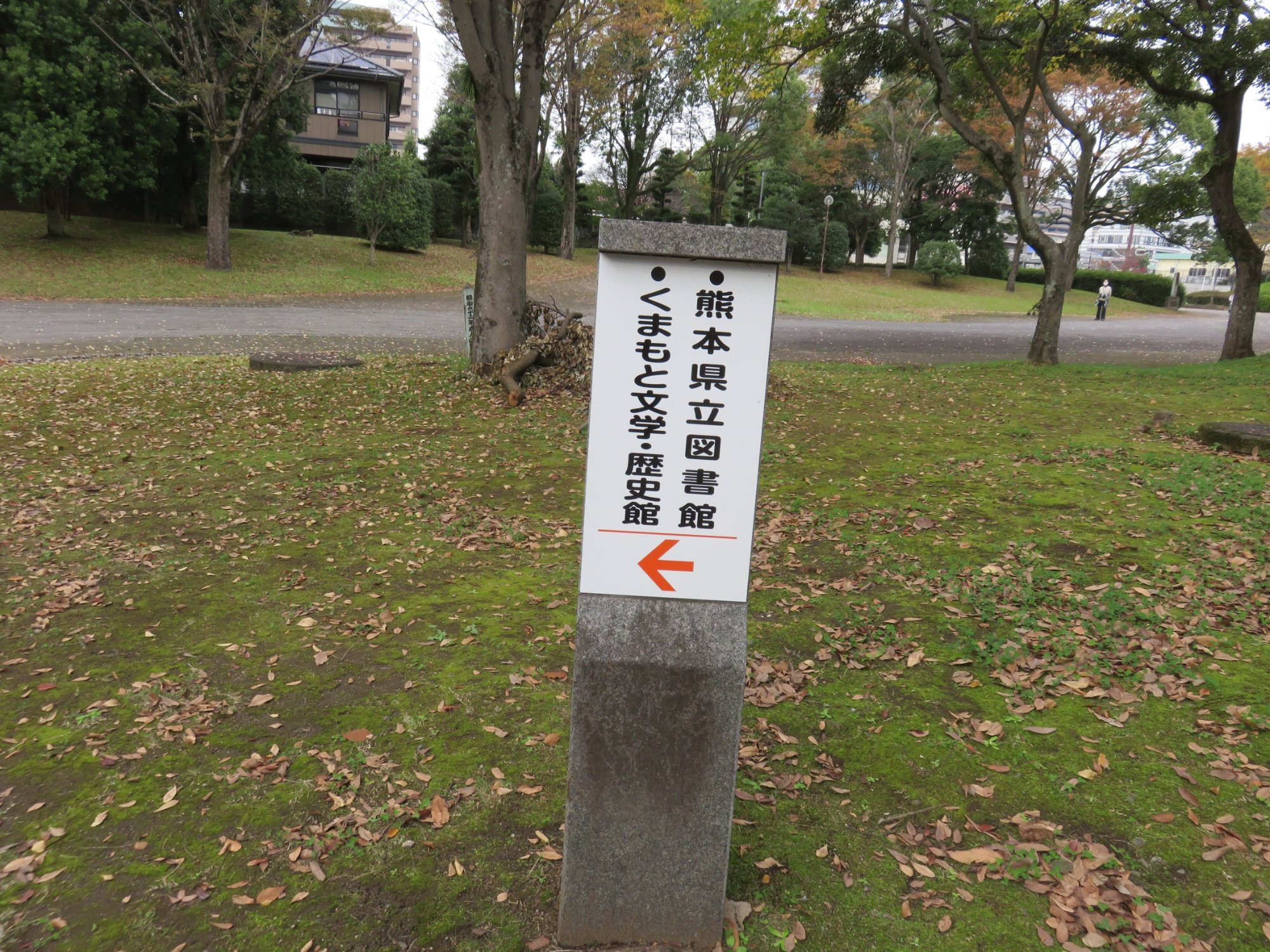 検証 学徒出陣 - 株式会社 吉川弘文館 歴史学を中心とする、人文