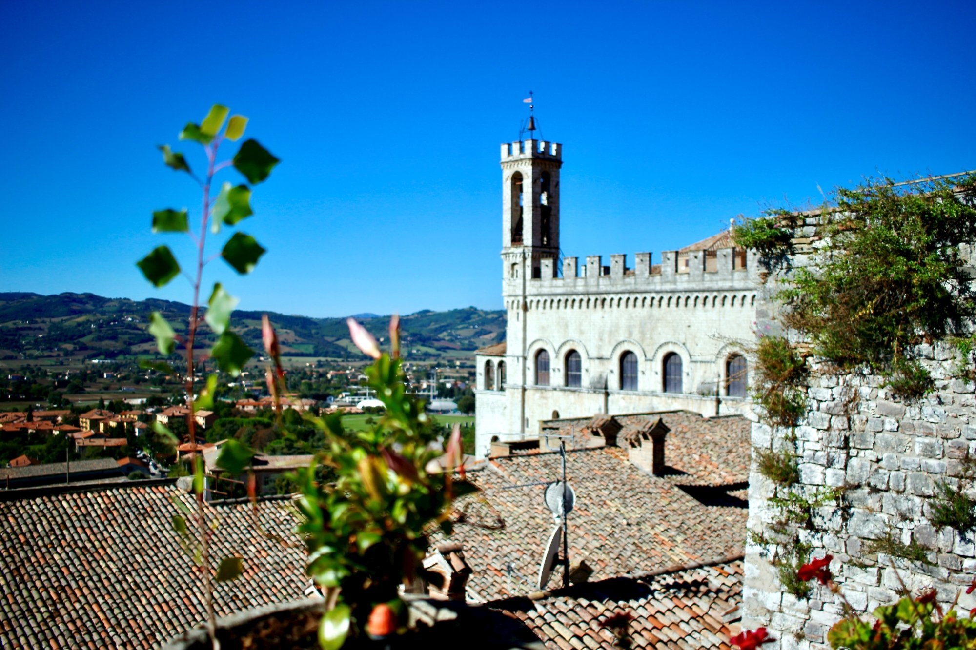 Hotel Relais Ducale by null
