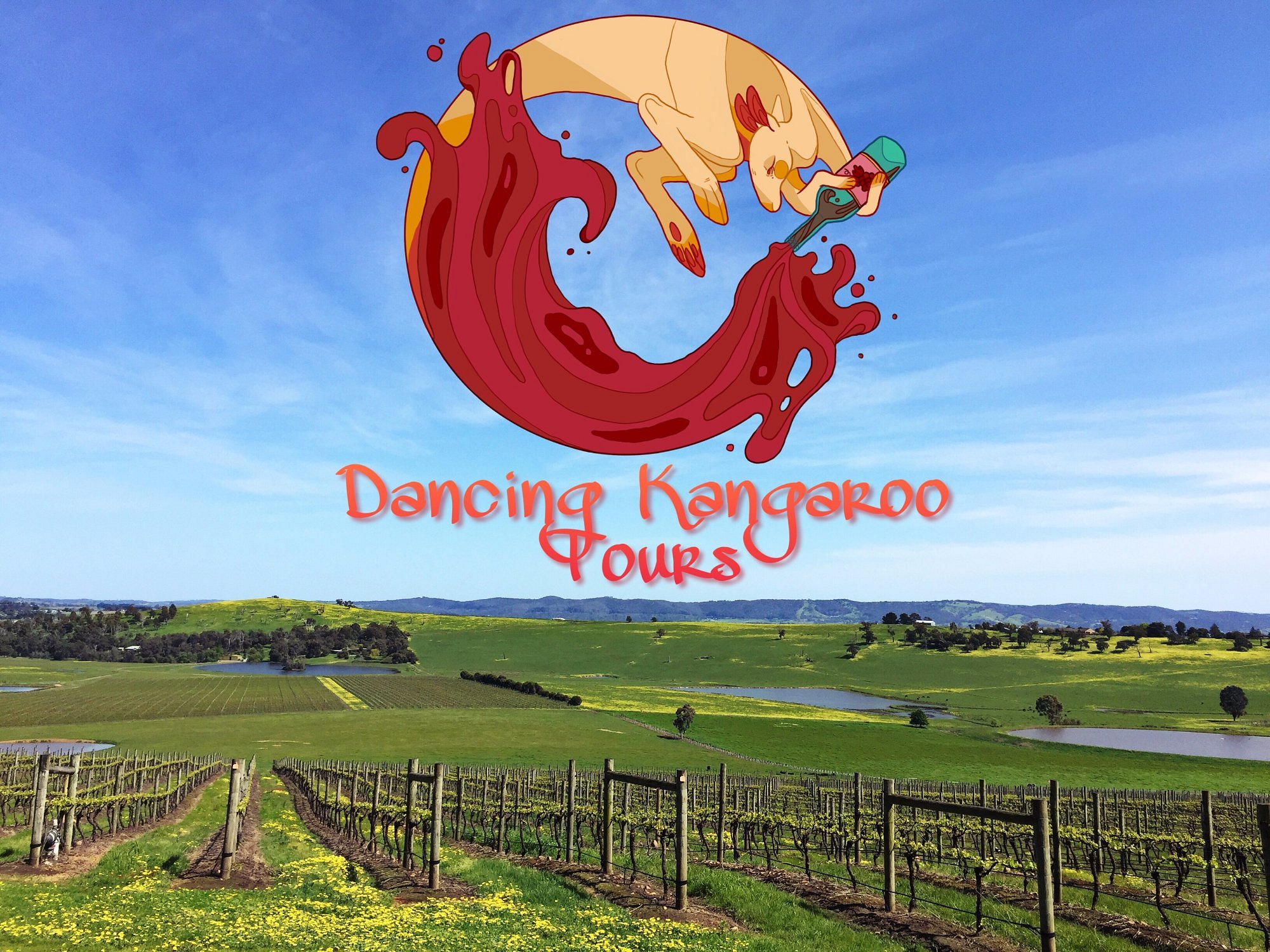 dancing kangaroo tour