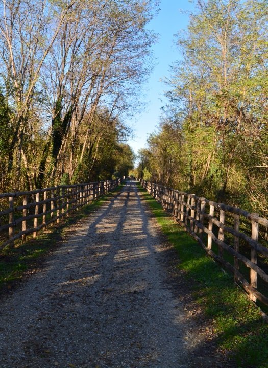 Pista Cicloturistica Colle-Poggibonsi (Colle di Val d'Elsa) - Aktuelle ...