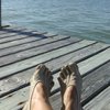 Tripgoer2