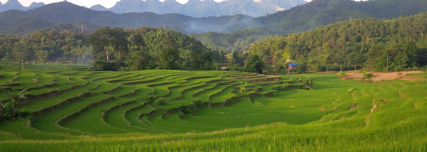 another terraced rice field