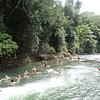 Things To Do in Canyoning & Rappelling Tours, Restaurants in Canyoning & Rappelling Tours