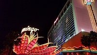 The Beach Club Pool at Flamingo Las Vegas NV, USA. Septemb…