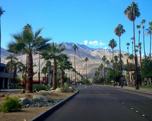 THE TOP 15 Things To Do in Palm Springs (UPDATED 2024