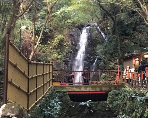 21年 湯河原町で絶対外さないおすすめ観光スポットトップ10 定番から穴場まで トリップアドバイザー