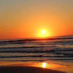 Beach House Resort, hotel in Hilton Head