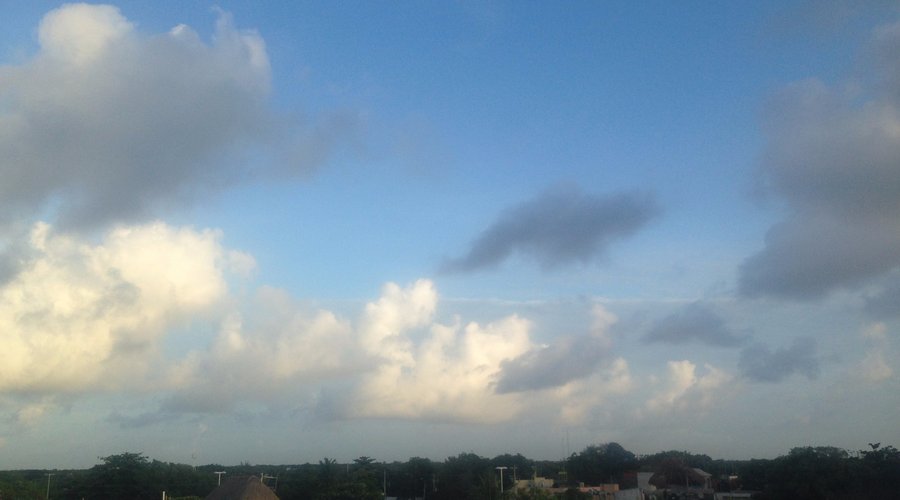 view from the roof