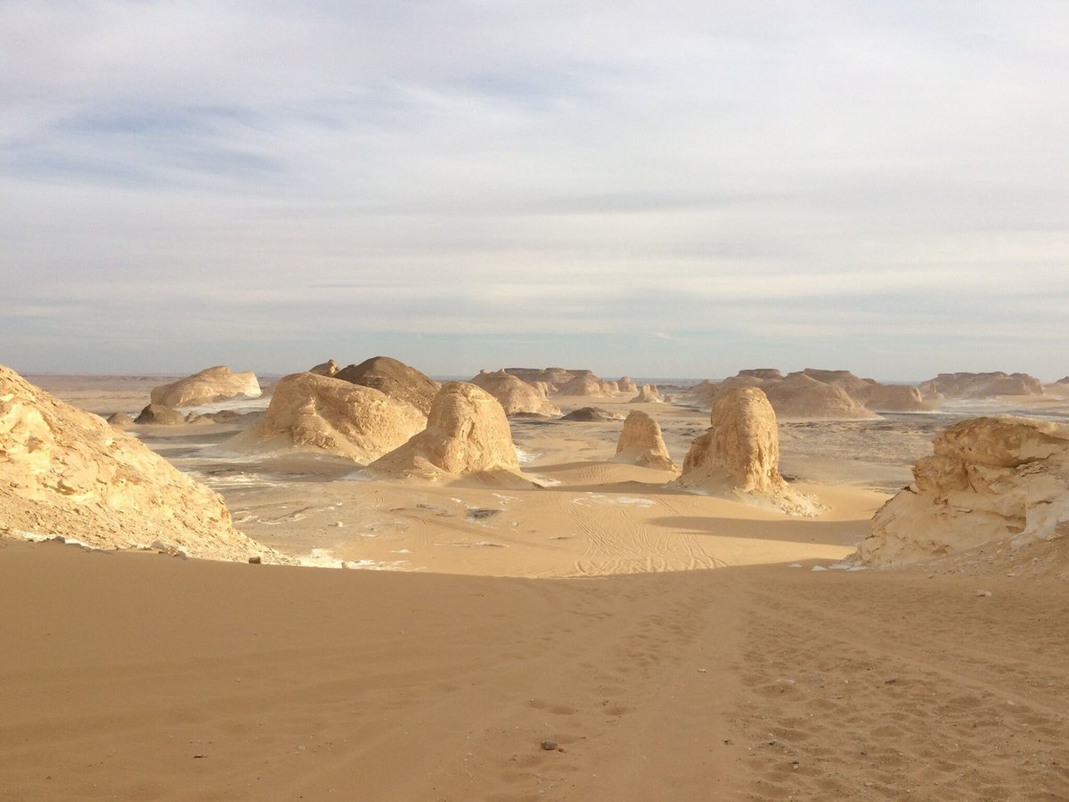 oasis hotel alexandria desert rd giza governorate egypt