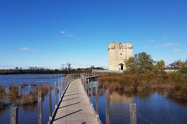 Aigues-Mortes, France 2023: Best Places to Visit - Tripadvisor