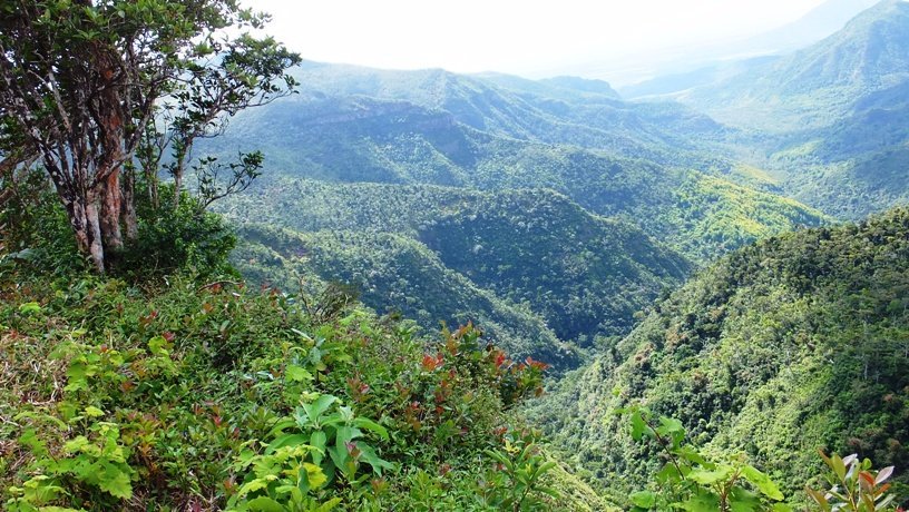 Black River Gorges National Park - All You Need to Know BEFORE You Go ...