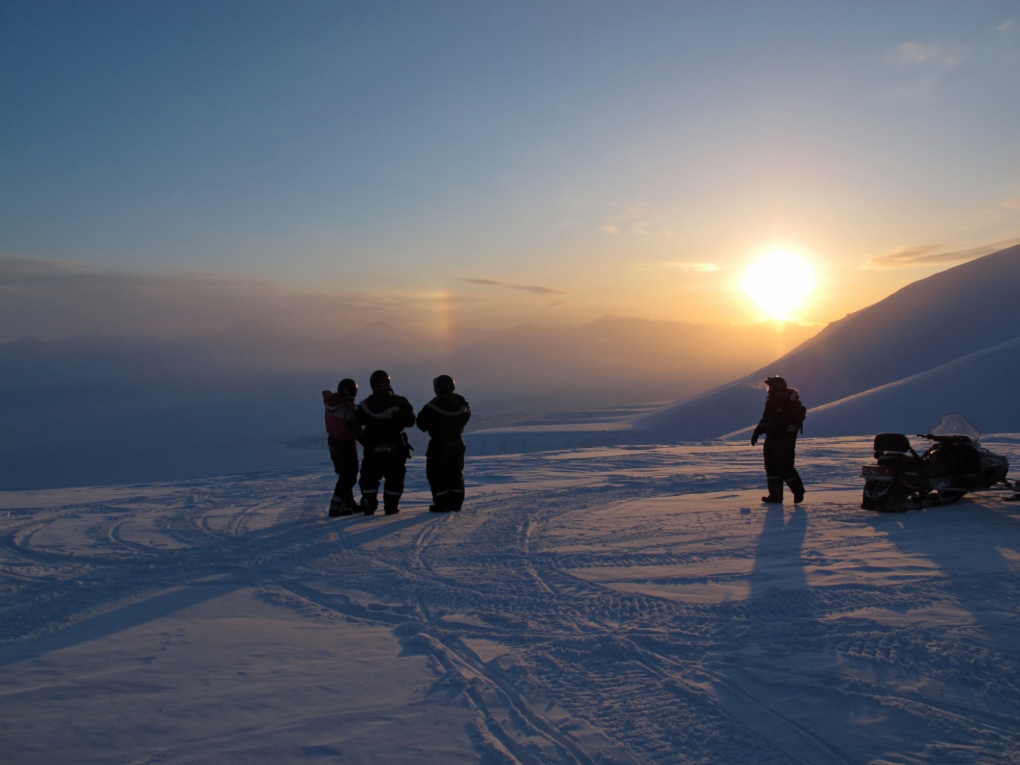 Poli Arctici (Longyearbyen, Norwegia) - Review - Tripadvisor