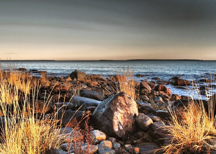 Hölicks reservat ligger på en halvö som heter Hornslandet och ligger utanför Hudiksvall. 
Nature