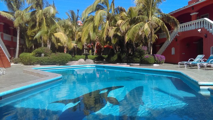 HOTEL OASIS DE LA PAZ (Los Cabos/Cabo San Lucas) - opiniones y comentarios  - pequeño hotel - Tripadvisor