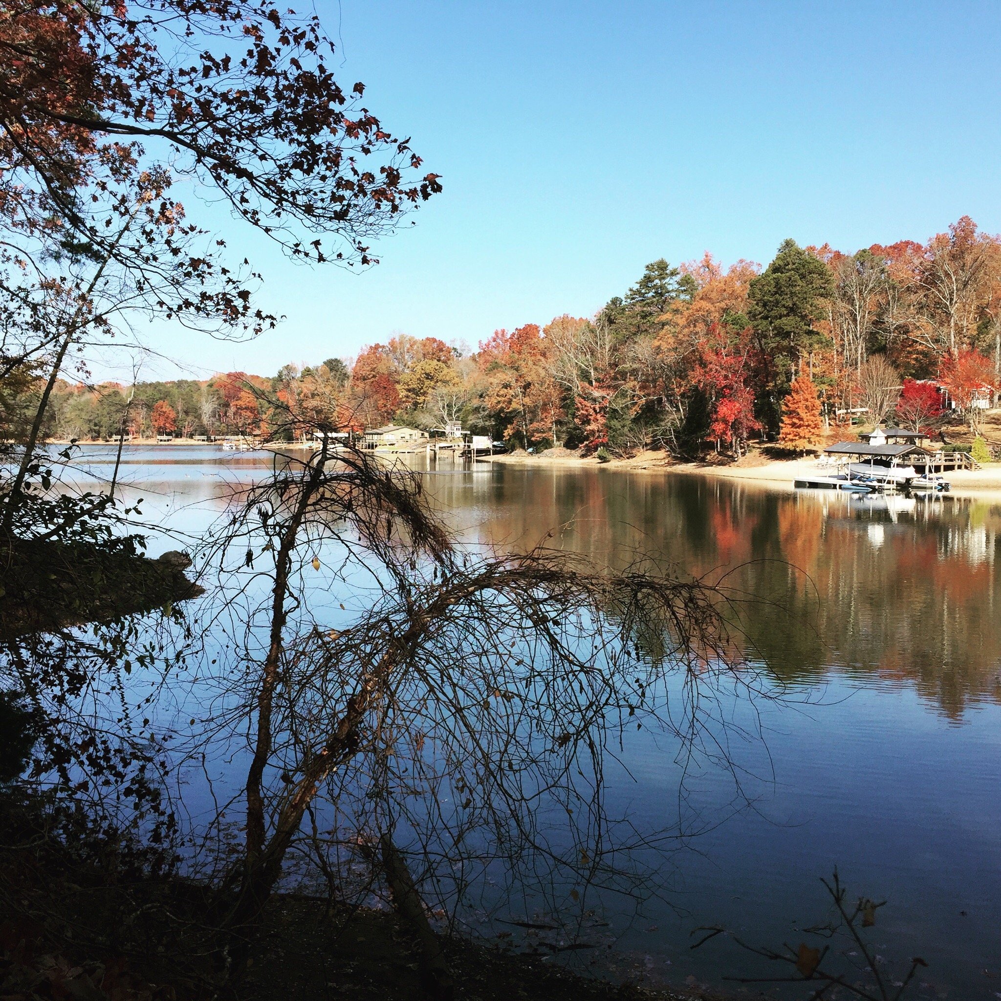 McDowell Nature Center and Preserve All You Need to Know BEFORE