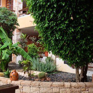 giardino