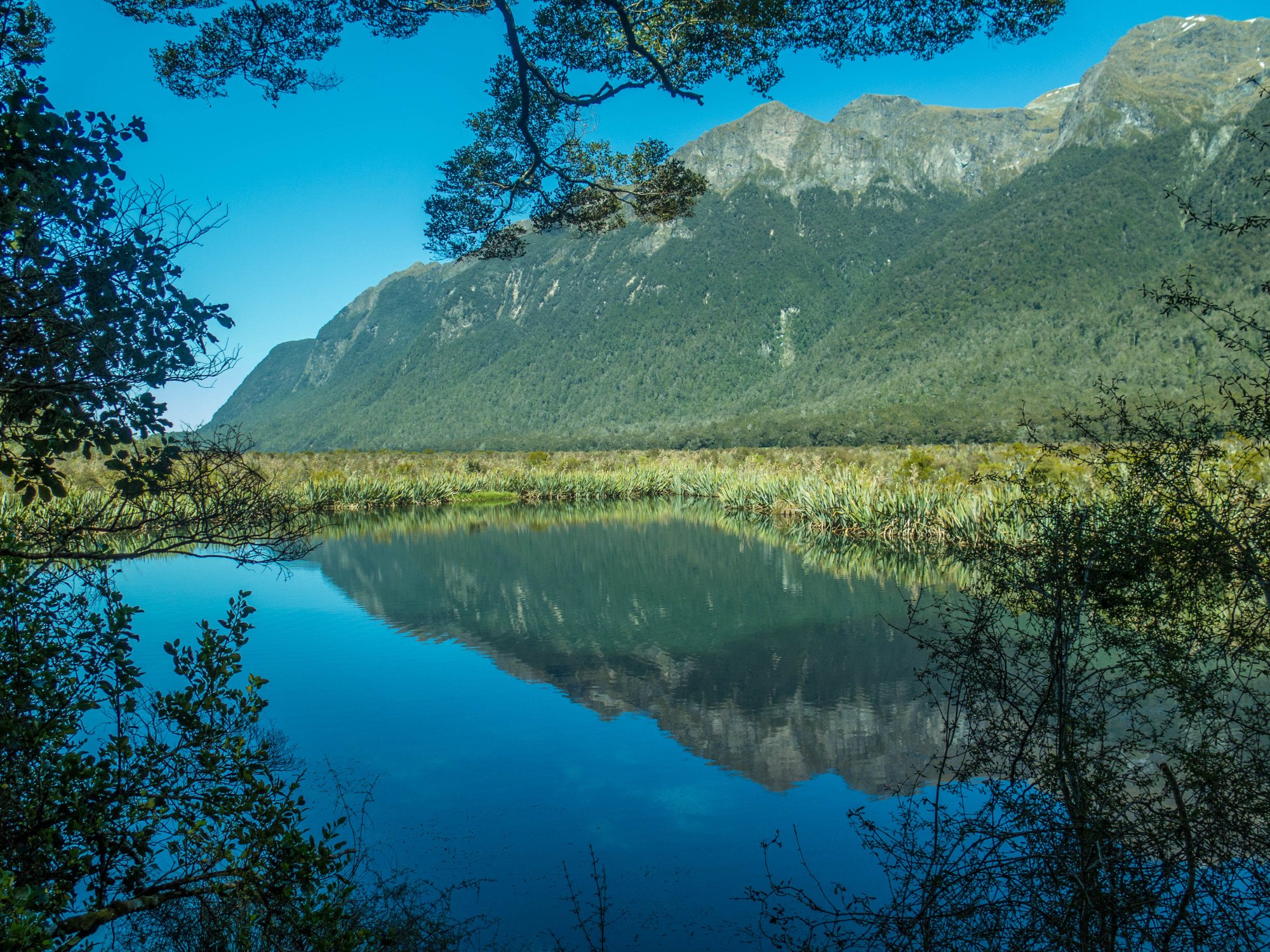 MILFORD SOUND HWY Ce Qu Il Faut Savoir Pour Votre Visite 2023   Beautiful Spots To View 