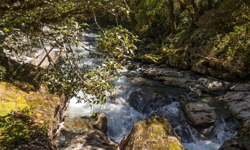 Mountain streams