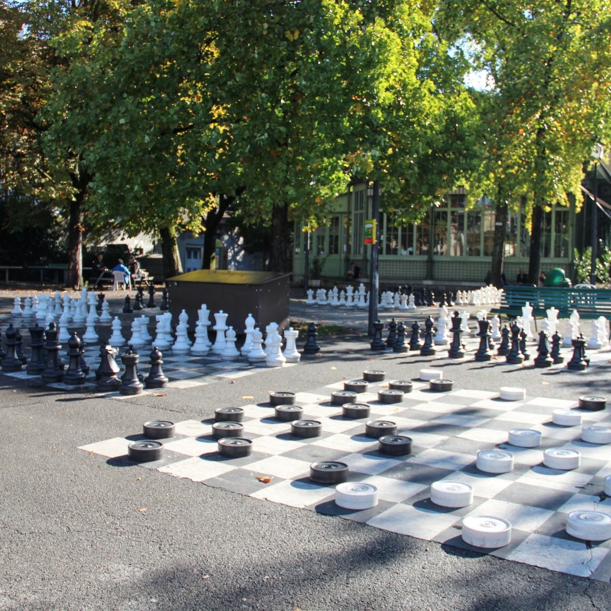 Outdoor Park Chess Boards And Equipment - Chess Forums 