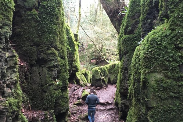 Forest of Dean 2021: Best of Forest of Dean Tourism - Tripadvisor