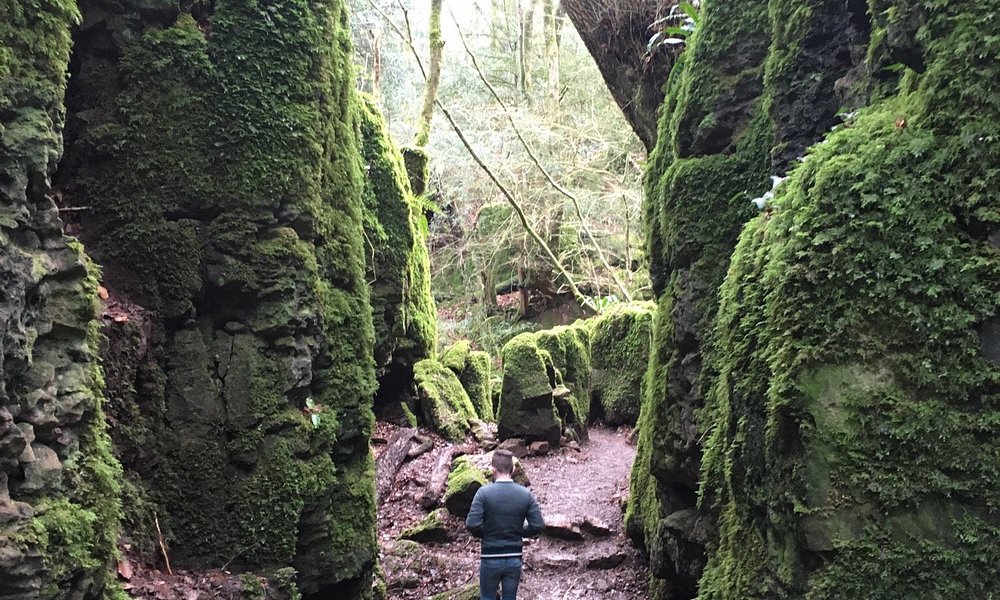 dark tourism forest of dean