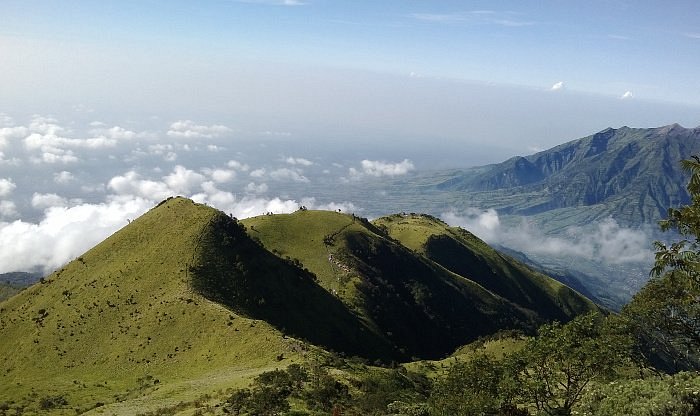 Mount Merbabu image