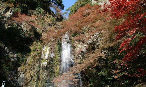 箕面 旅行 観光ガイド 21年 トリップアドバイザー