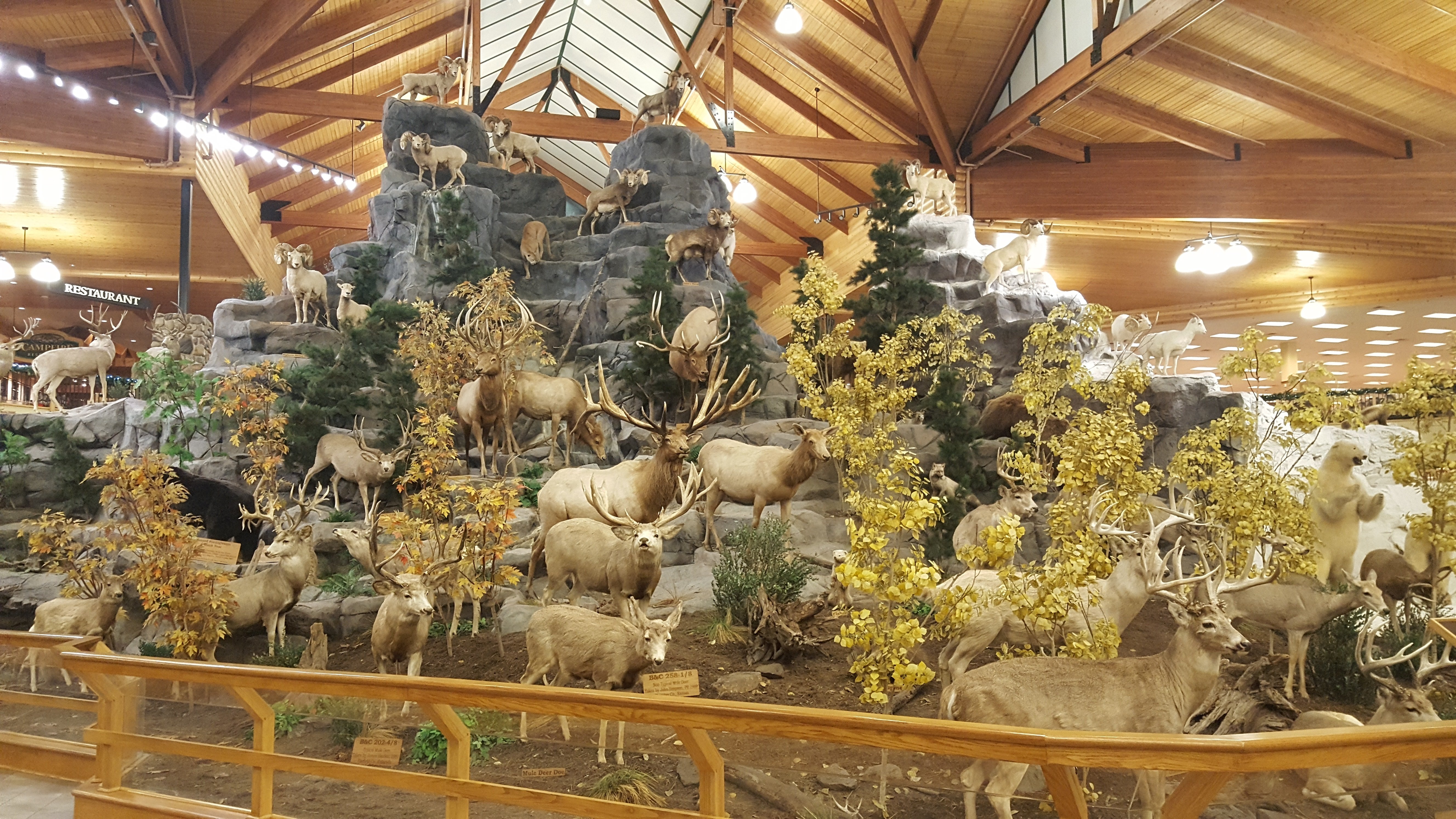 CABELA'S - All You Need to Know BEFORE You Go (with Photos)