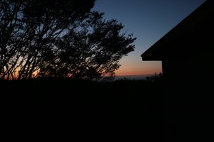 旅行者の写真