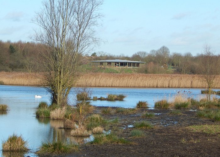 Ingrebourne Valley Visitor Centre view from the marsh