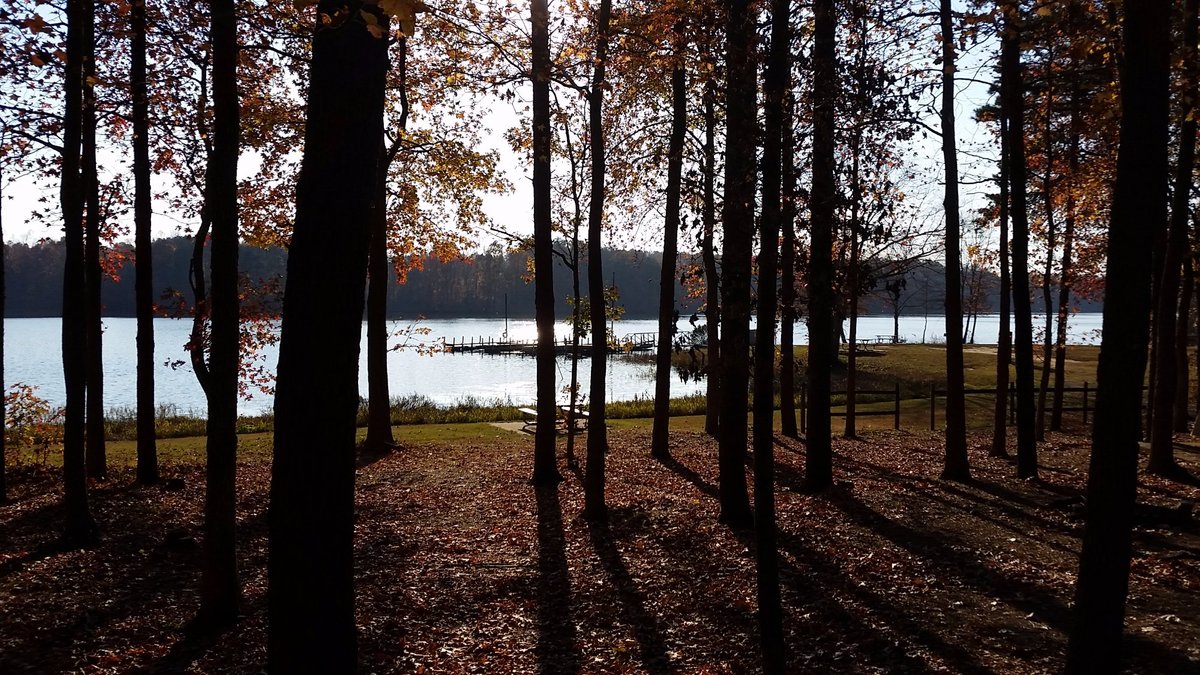 Escape To Paradise: Uncovering The Gems Of Lake Reidsville Recreation Park