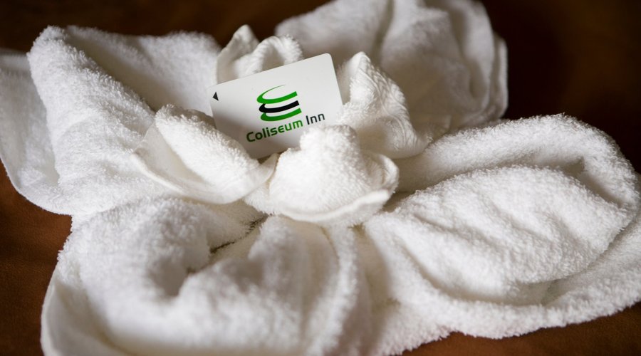 Towel Flower