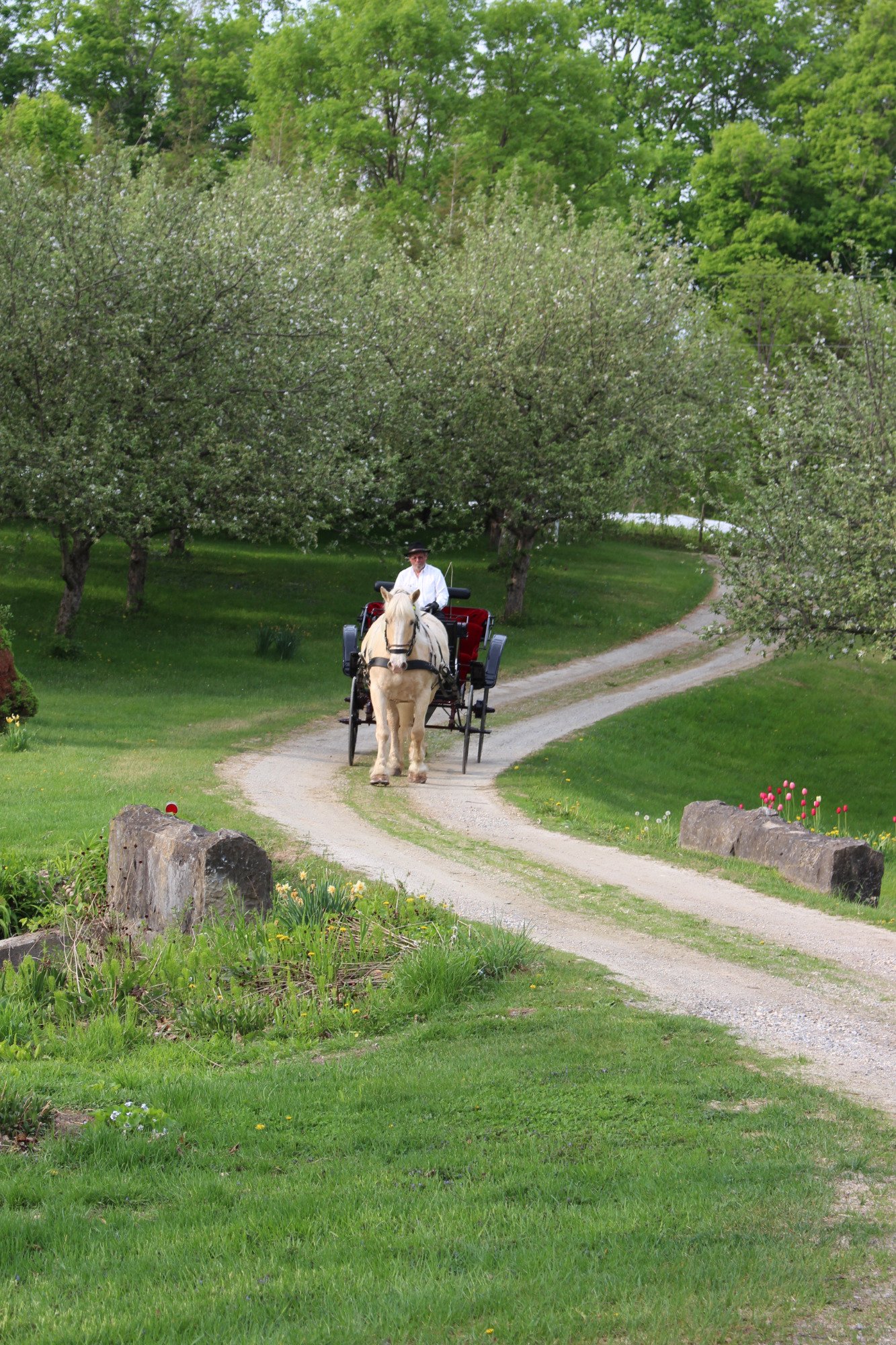 TARADEN BED AND BREAKFAST - B&B Reviews (North Bennington, VT)