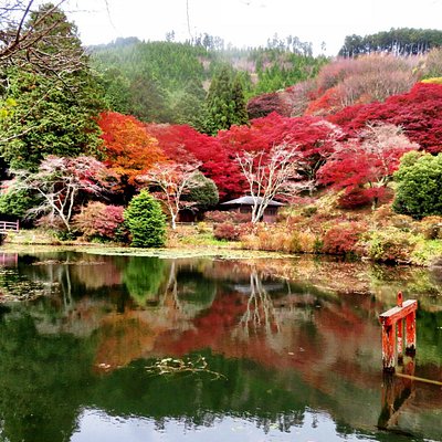 The 10 Best Nara Prefecture Parks With Photos Tripadvisor