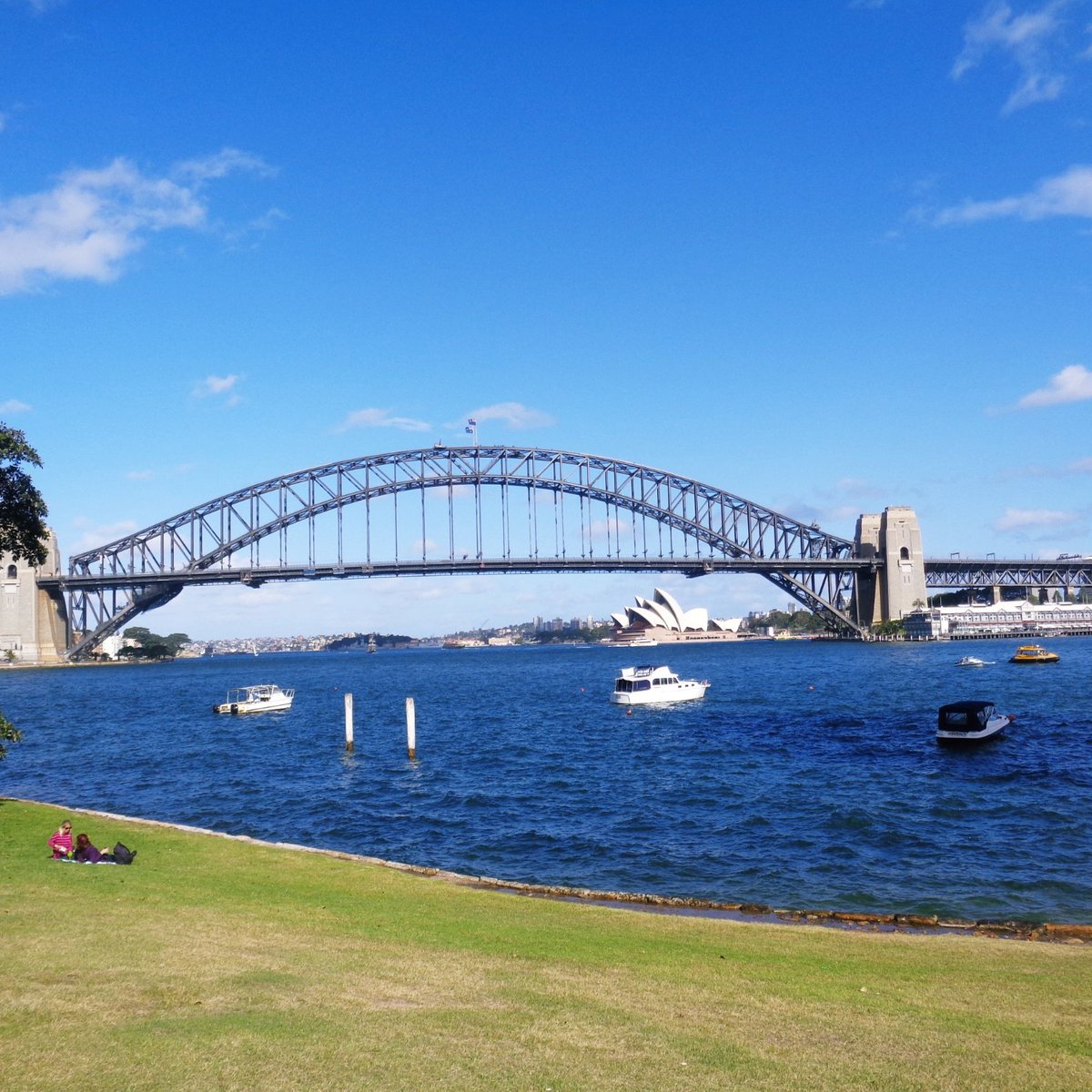 Blues Point Reserve, McMahons Point: лучшие советы перед посещением -  Tripadvisor