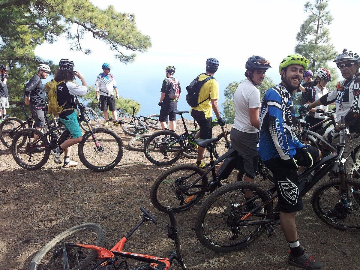 sympathie Speciaal helder Pedalis Bike Rental (Playa de las Americas) - All You Need to Know BEFORE You Go sympathie Speciaal helder Pedalis Bike Rental (Playa de las Americas) - All You Need to Know BEFORE You Go