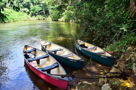 Canoe the Macal River and enjoy the serenity of Mystic River Resort.