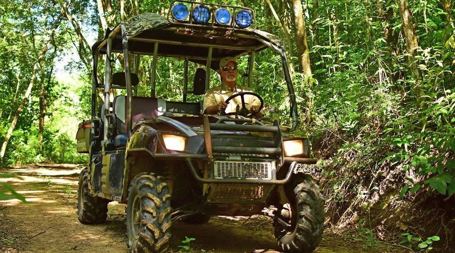 Your jungle adventure awaits!