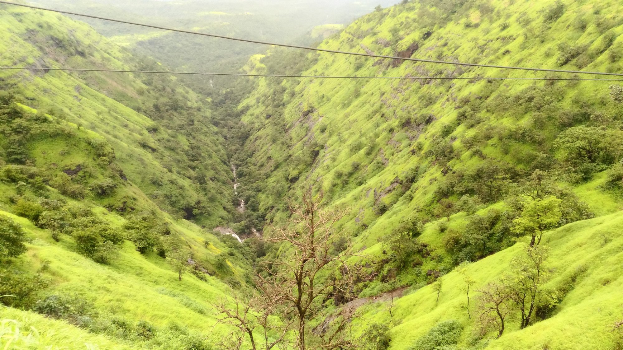 10 Best Trails, Walks, and Paths in Igatpuri | AllTrails