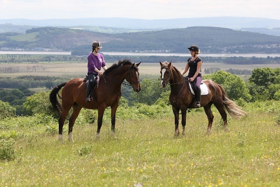 WITHERSLACK HALL EQUESTRIAN CENTRE (Grange-over-Sands) - All You Need ...