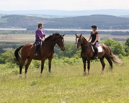THE 10 BEST Lake District Horseback Riding Tours (with Photos)