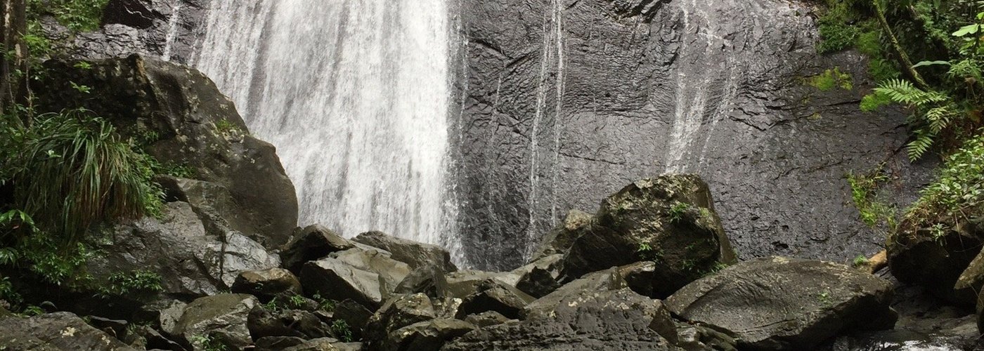 El Yunque - the tower, La Mina Falls and Coco Falls