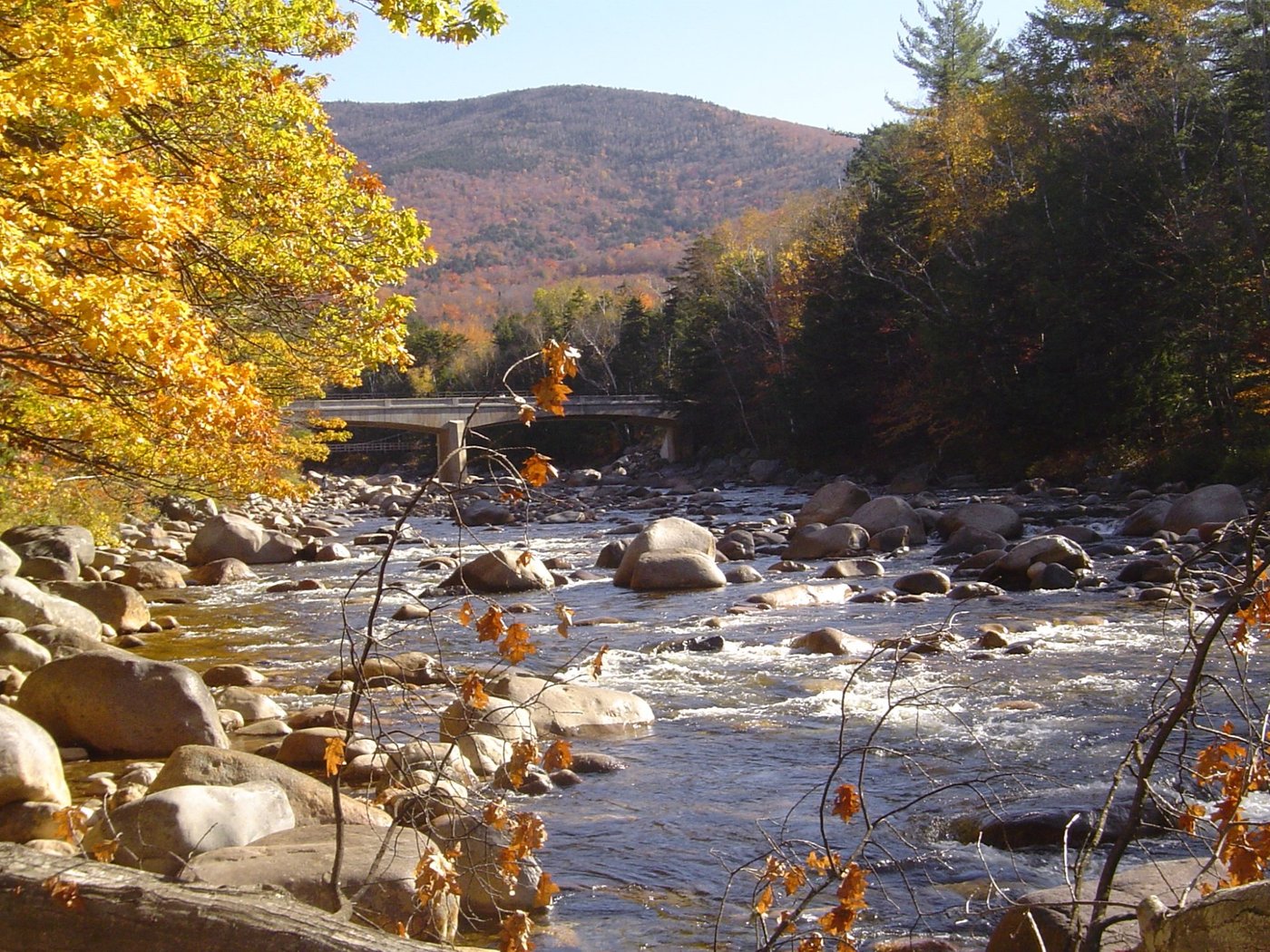 HANCOCK CAMPGROUND (Lincoln, NH - White Mountains) - Campground Reviews ...