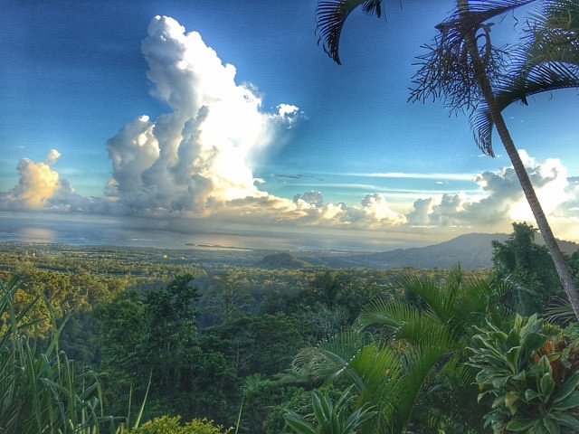 Happy Samoan family - Picture of Dave Parker Eco Lodge, Upolu