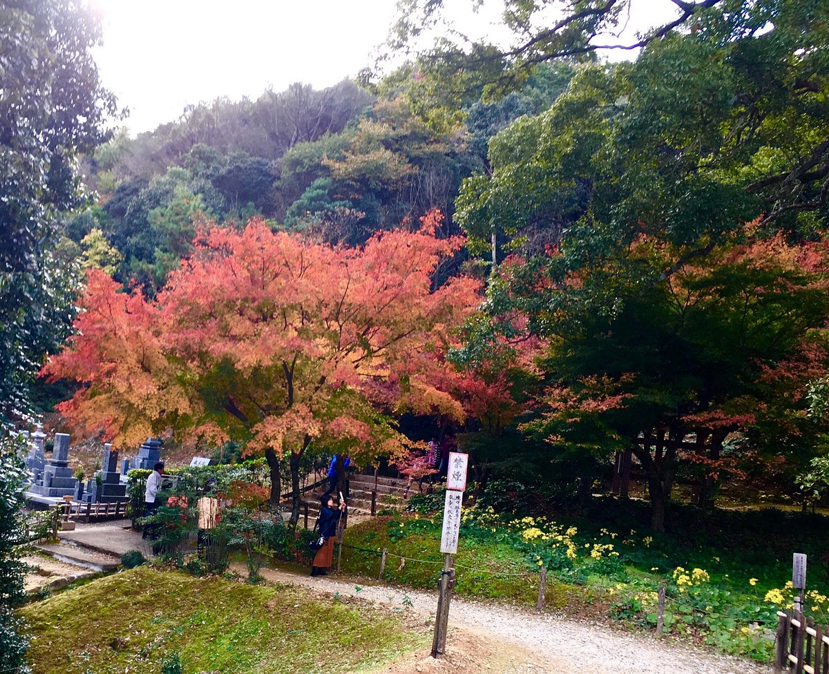 THE 15 BEST Things to Do in Yamaguchi - 2022 (with Photos) - Tripadvisor