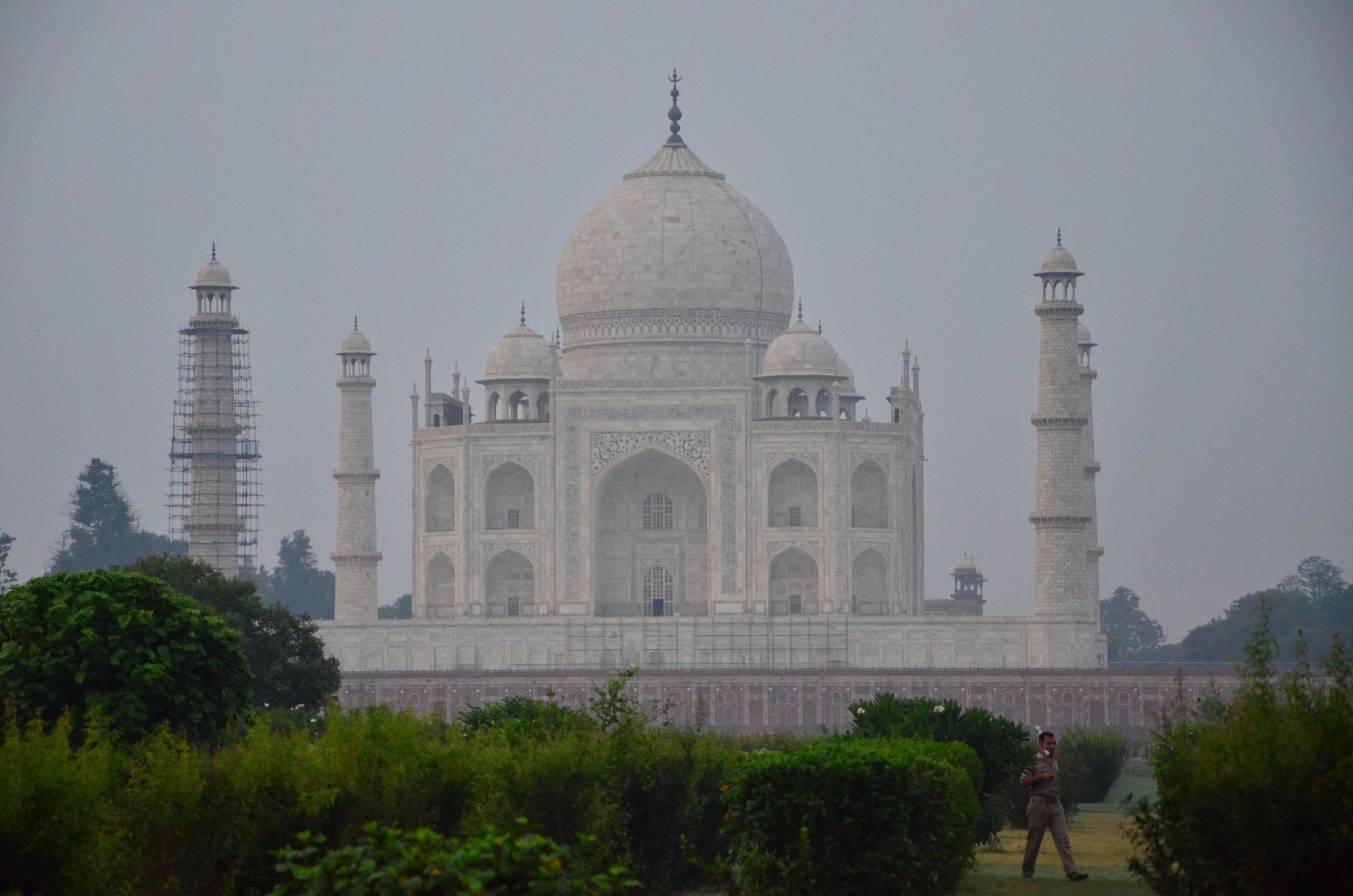 agra food tour