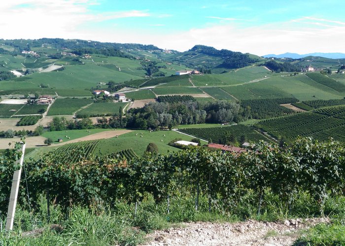Cappella del Barolo