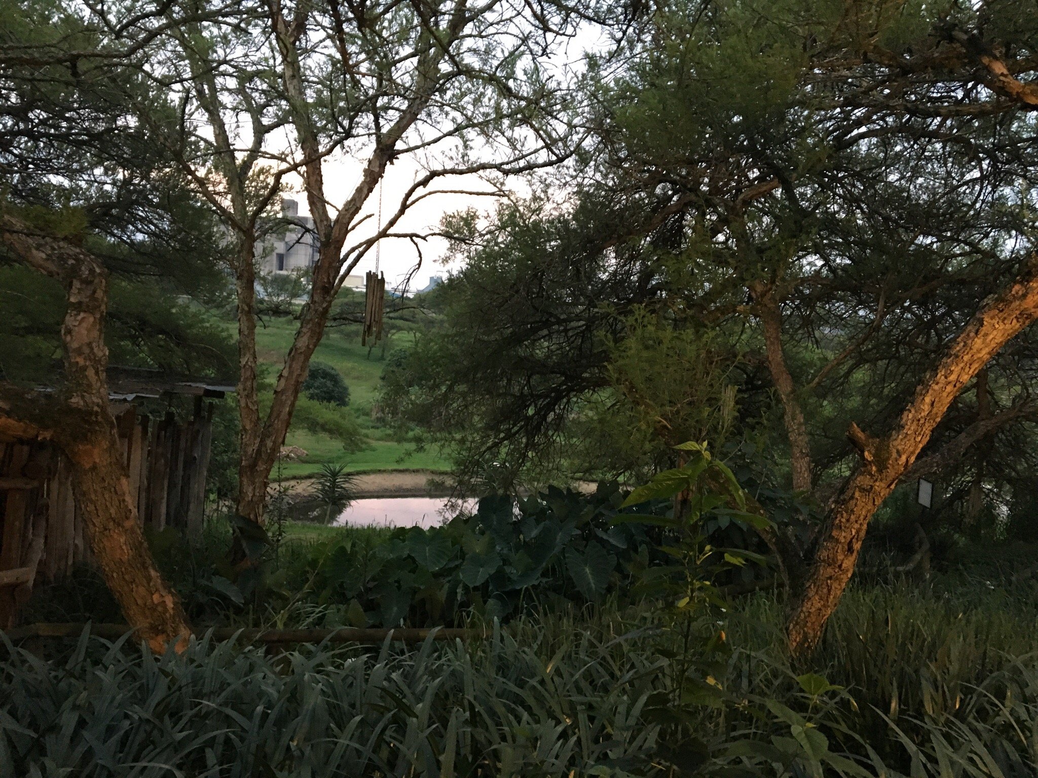 Hotel photo 9 of Ascot Bush Lodge.