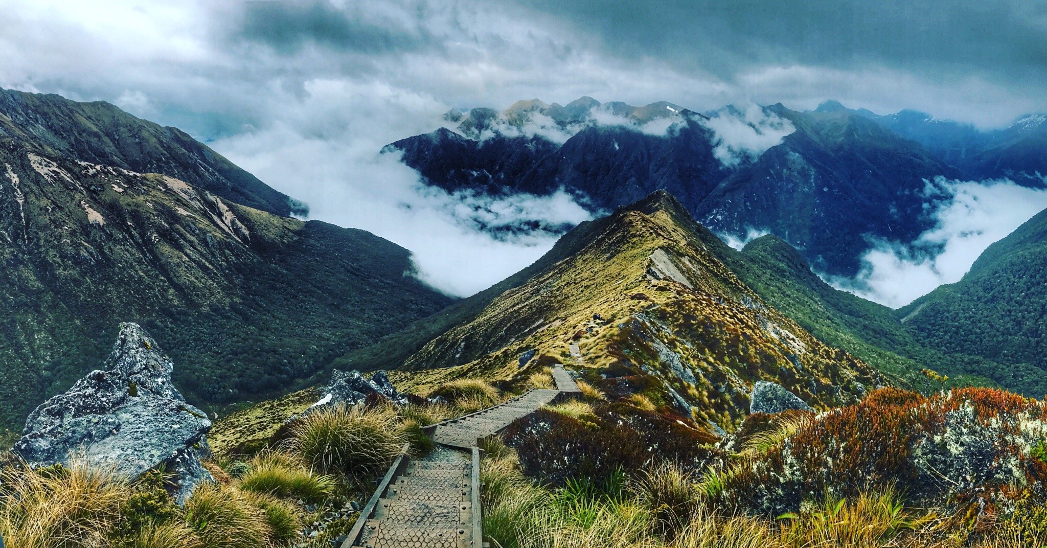 Kepler track 2024 3 days