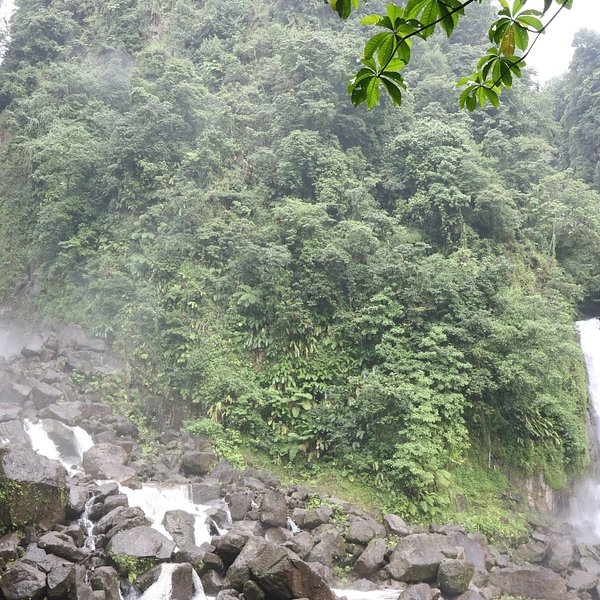 Ti Kwen Glo Cho Hot Springs Dominica Lo Que Se Debe Saber Antes De Viajar Tripadvisor